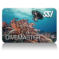 Divemaster